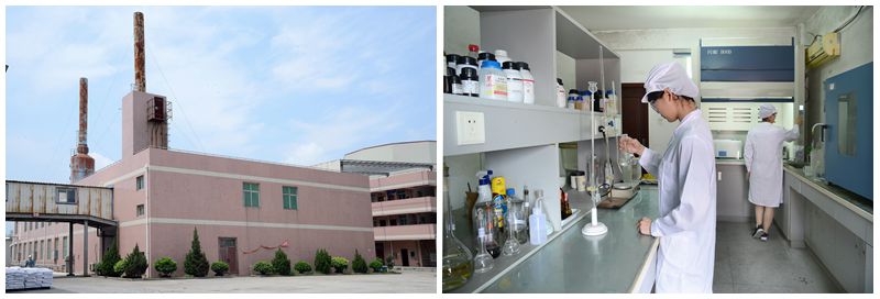 melamine powder factory and laboratory in China