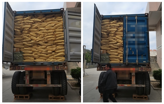 Huafu Chemicals Melamine Molding Compound New Shipment